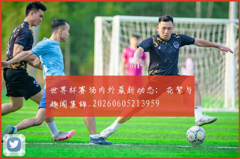 世界杯赛场内外最新动态：花絮与趣闻集锦_20260605213959