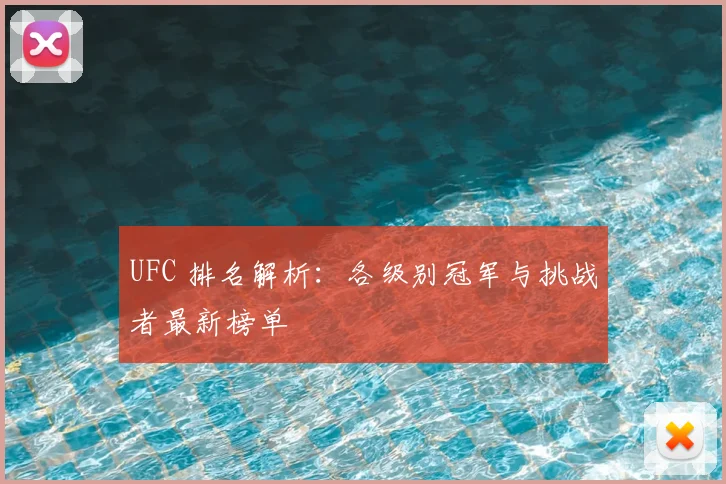 UFC 排名解析：各级别冠军与挑战者最新榜单