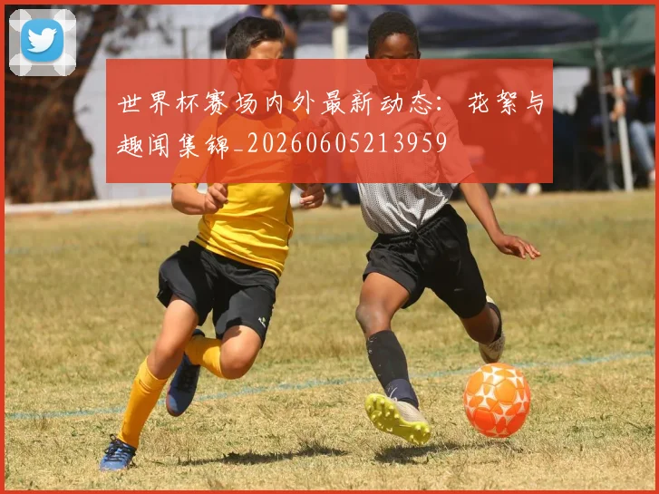 世界杯赛场内外最新动态:花絮与趣闻集锦_20260605213959
